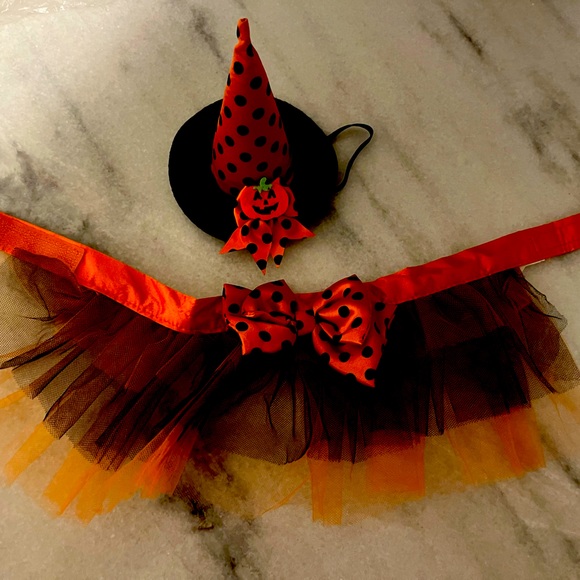 Witch dog costume - Picture 1 of 1